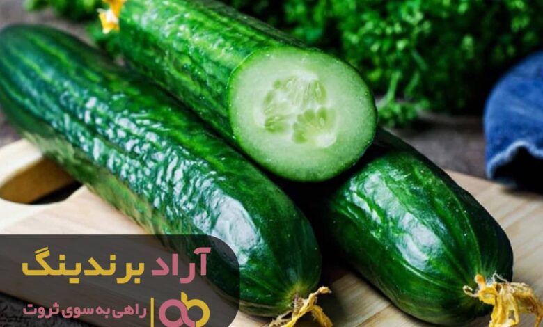 مهم‌ترین عامل پولدارشدن بیل گیتس از زبان خودش