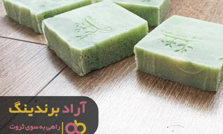 کسب و کاری که درآمدم را پنج برابر کرد