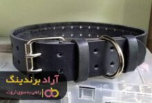 , با کسب و کار کمربند کارآفرین شدم