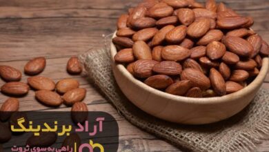 چطور به دنیای پول و ثروت قدم برداریم