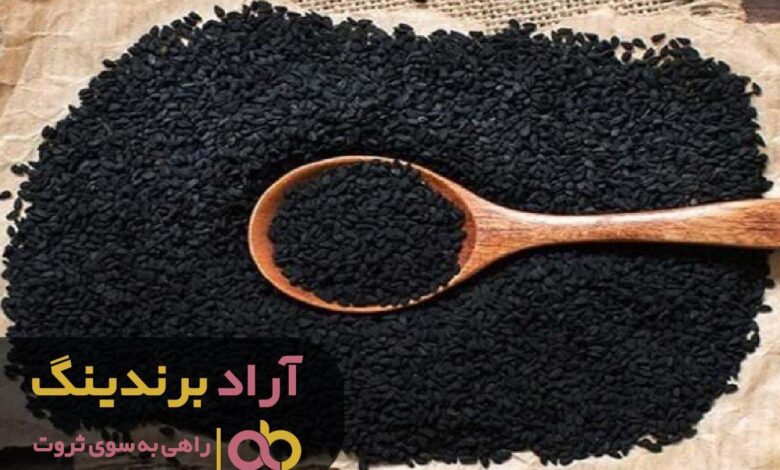 این ابتکار خاص مرا به مرز ثروت رساند