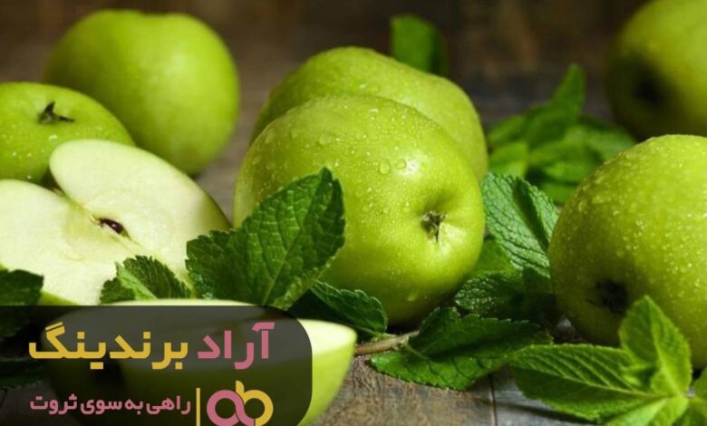 فرصت های کوچکی که از من یک فرد ثروتمند ساخت