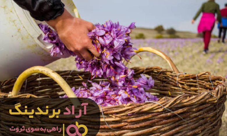 موفقیت مالی را با برنامه ریزی تجربه کردم