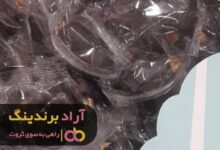 , همنشین افراد موفق شدم و به ثروت رسیدم