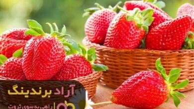 , راز نهان ثروتمند شدن از دریچه ثروت بر زندگی ام نازل شد