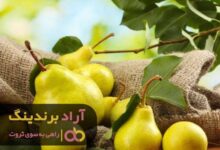 , منبع ثروت را در گلابی کشف کردم