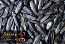 , از خود فردی شکست ناپذیر ساختم