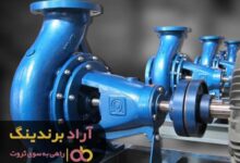 , با استفاده از اینترنت به سرزمین ثروت قدم گذاشتم