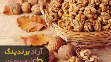 , ارائه خدمات به مشتری می تواند برایتان ثروت آفرین باشد