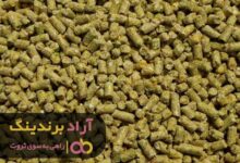 , با وقت شناسی در کارتان به ثروت خوشامد بگویید